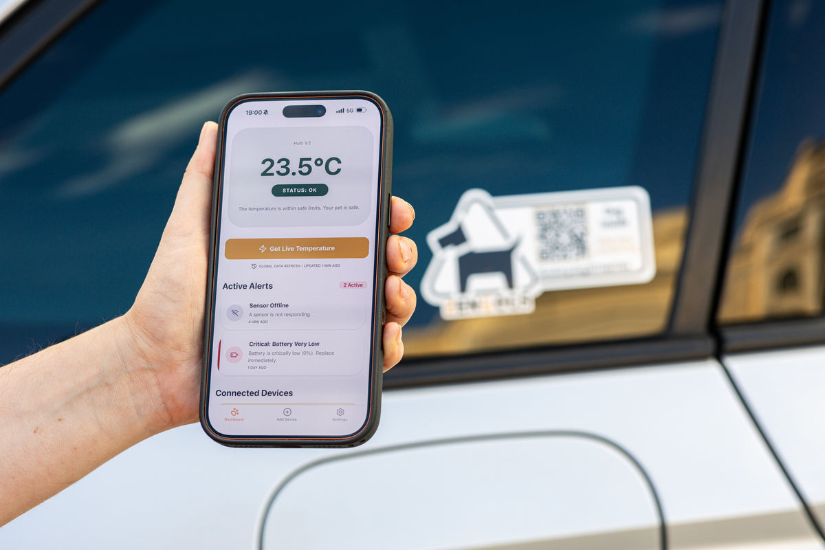 App ZenDogs
