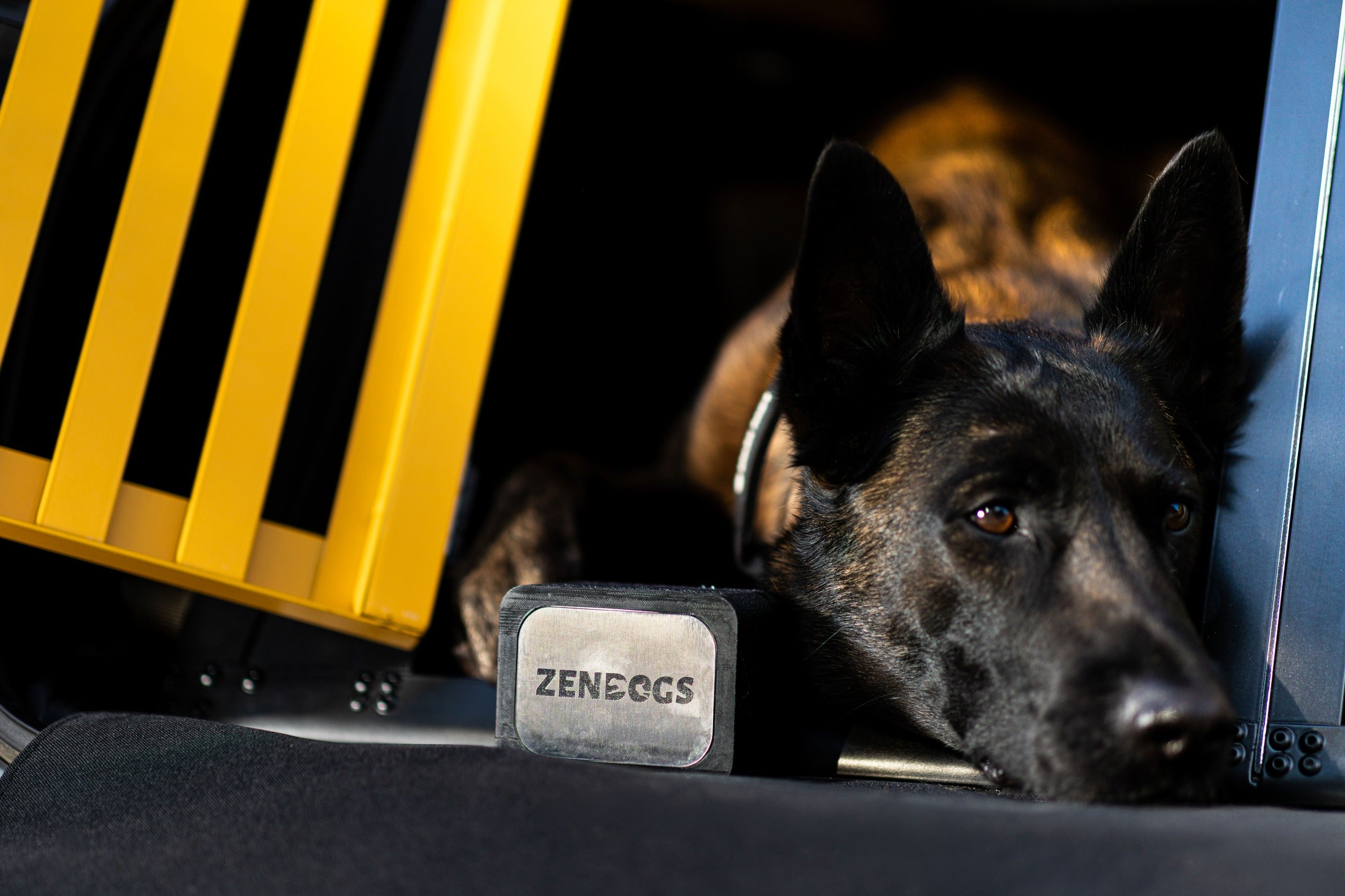 ZenDogs Hub